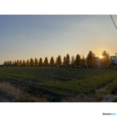 撮って出し(2023-11-03_16-02)--5.1