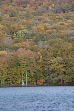 撮って出し(2025-10-27_05-52)-(Canon EOS 6D-13