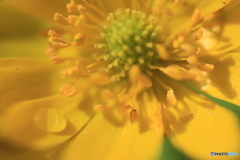 撮って出し(2025-04-06_09-02)-(Canon EOS 60D-9