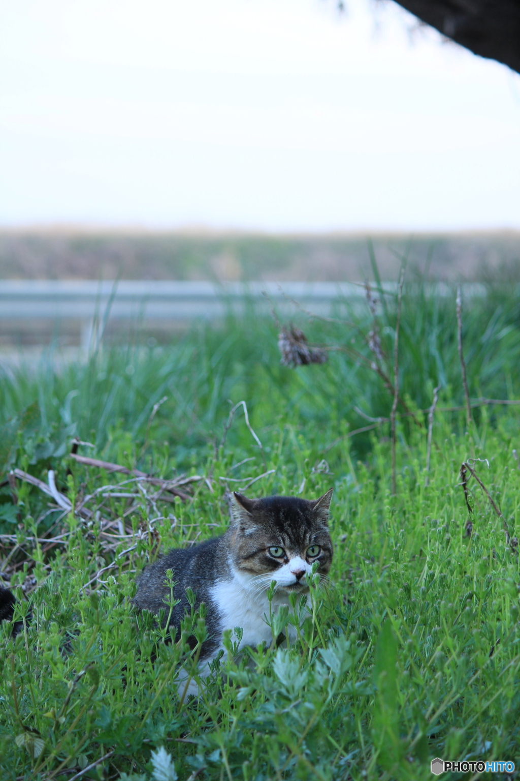 撮って出し(2024-04-22_18-12)-(Canon EOS 60D-9