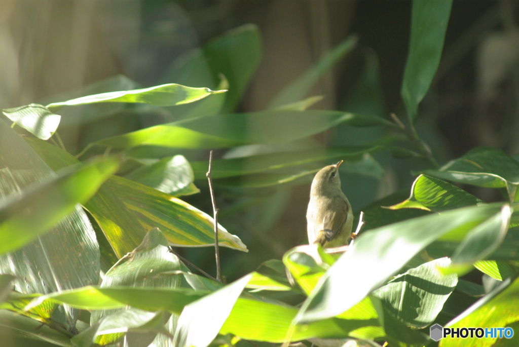 撮って出し(2025-10-30_10-58)-(PENTAX K10D-300