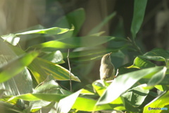 撮って出し(2025-10-30_10-58)-(PENTAX K10D-300