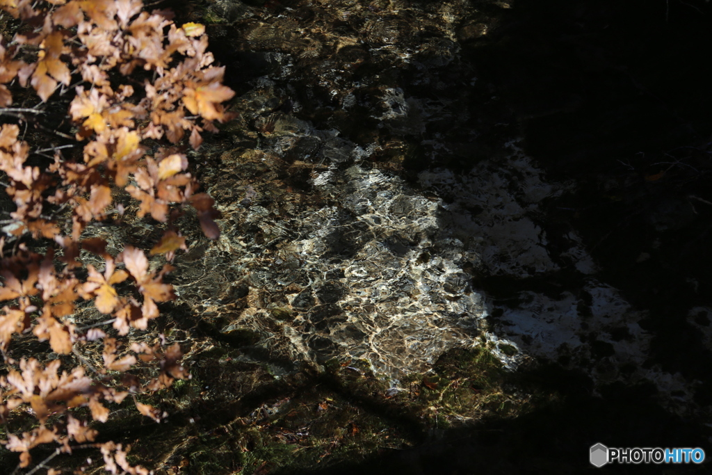 撮って出し(2025-11-04_10-08)-(Canon EOS 6D-13