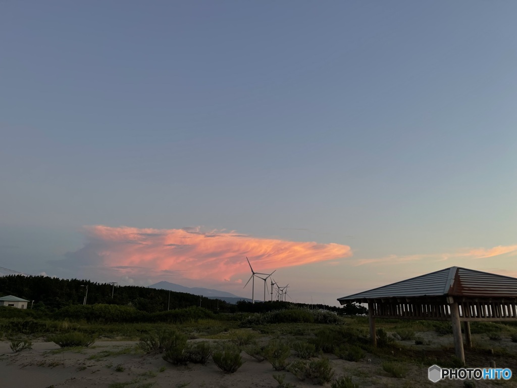 撮って出し-iPhone 12 Pro Max-5.1-23_08_29_IMG