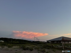 撮って出し-iPhone 12 Pro Max-5.1-23_08_29_IMG