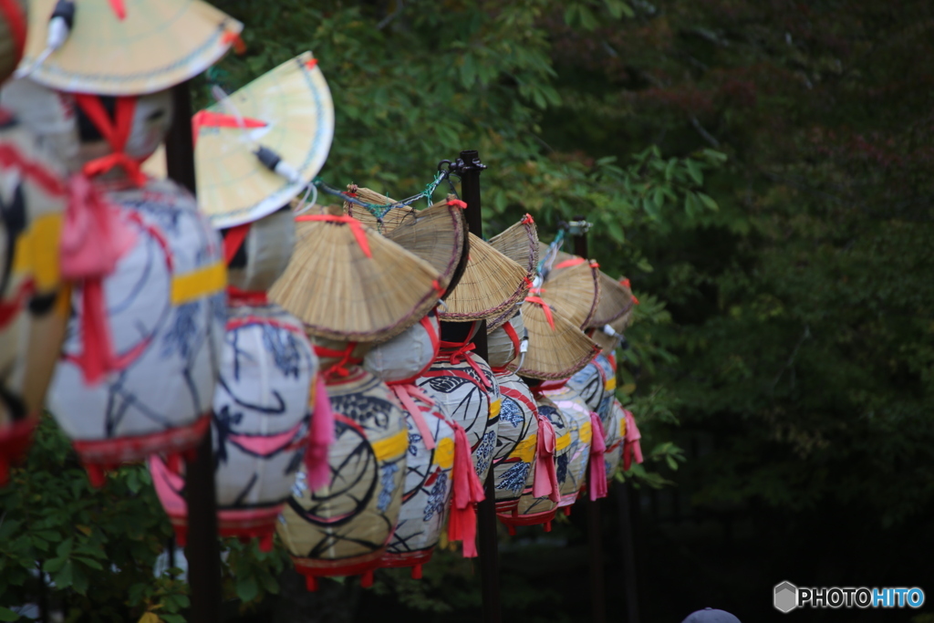 撮って出し(2025-10-27_11-34)-(Canon EOS 6D-27