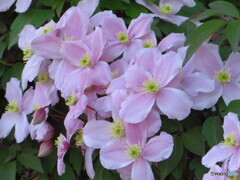 撮って出し-Canon PowerShot SX280 HS-47.6-23_0