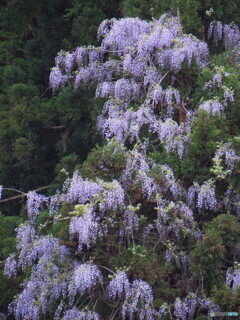 撮って出し-Canon PowerShot SX280 HS-90.0-23_0