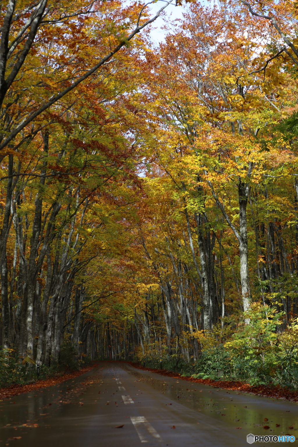 撮って出し(2025-10-27_09-50)-(Canon EOS 6D-90