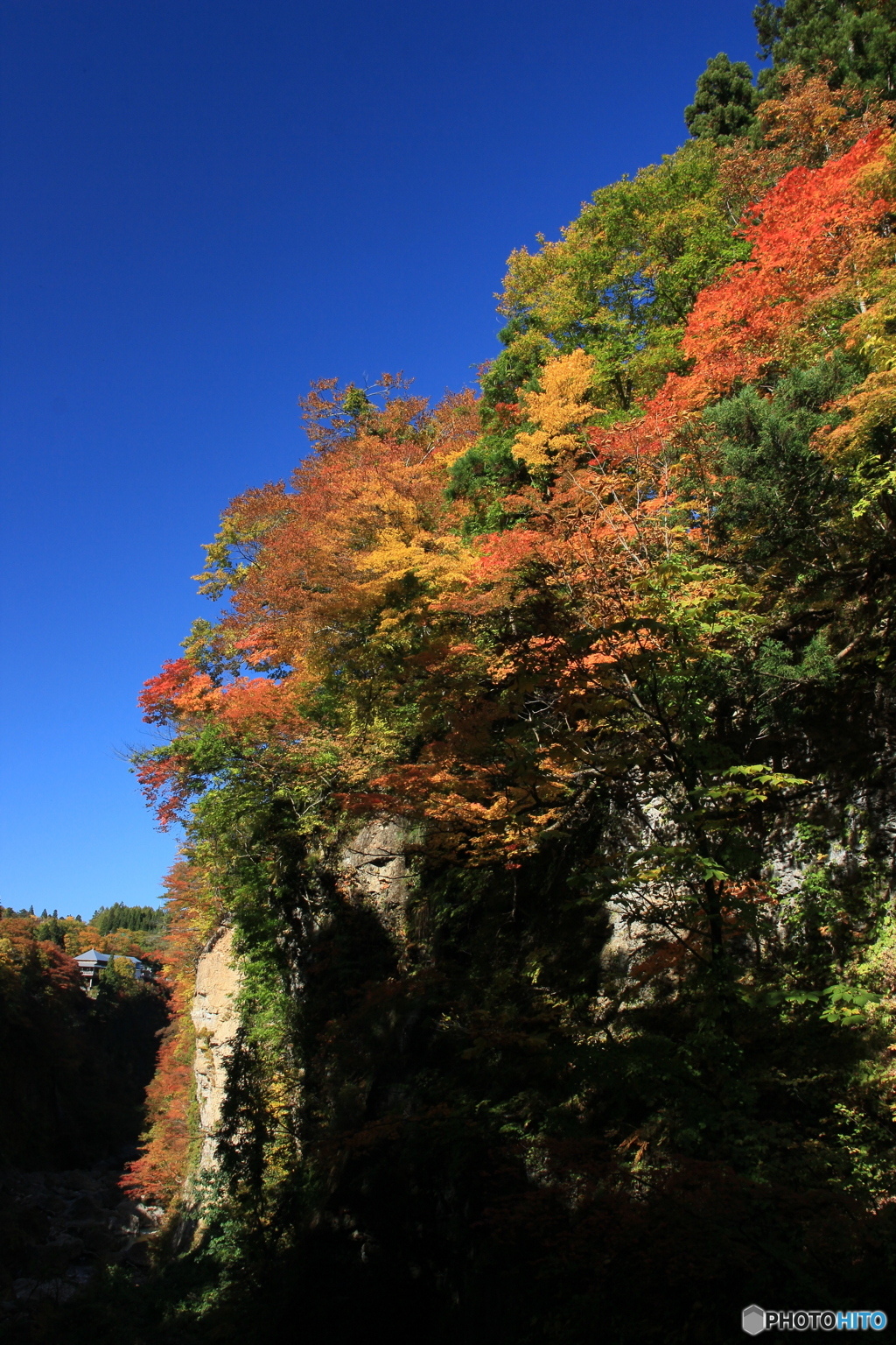 撮って出し-Canon EOS 60D-18.0-22_10_31-5