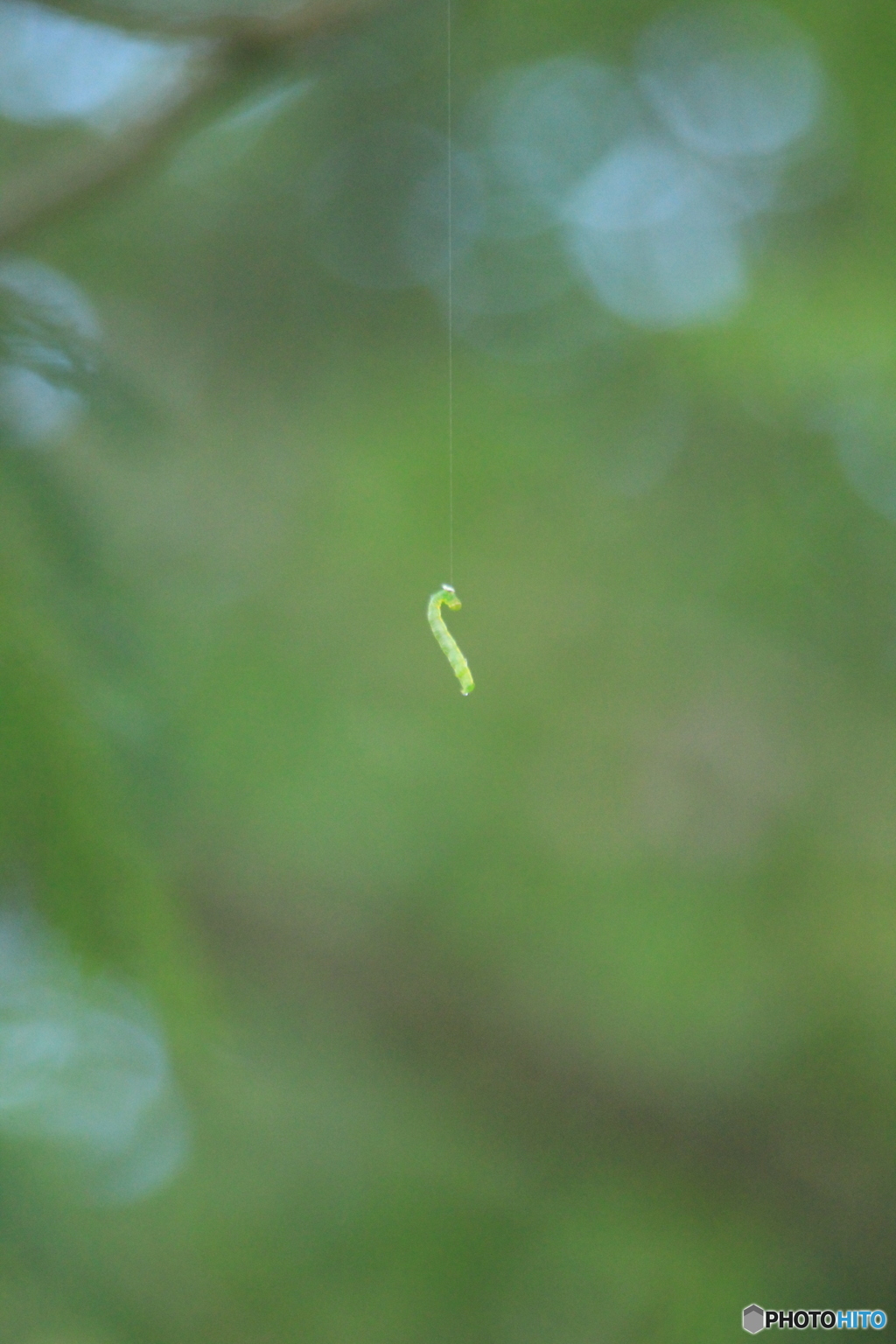 撮って出し(2025-07-08_06-38)-(Canon EOS 60D-3