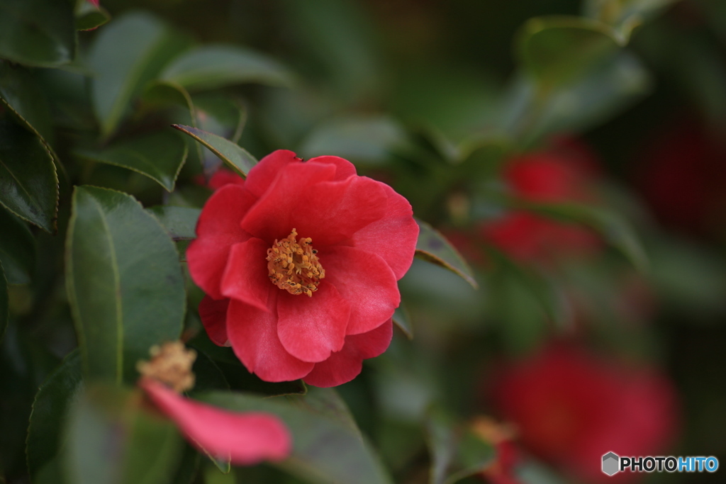 撮って出し(2024-03-31_10-05)-(Canon EOS 6D-90