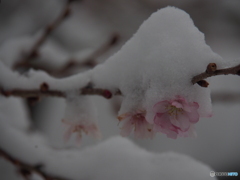 撮って出し(2024-02-22_07-39)-(E-M5-150(OLYMPU