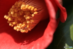 撮って出し(2024-04-12_14-14)-(Canon EOS 6D-90