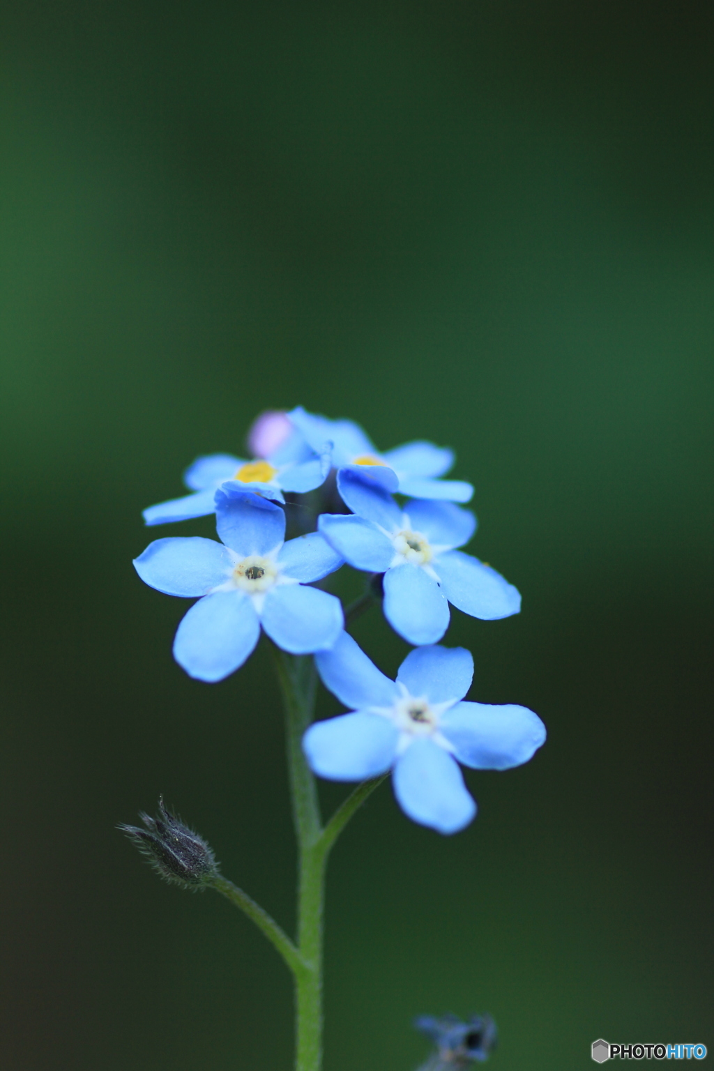 撮って出し-Canon EOS 60D-90.0-23_05_17-14