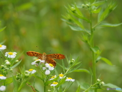 撮って出し-E-M5-150.0-23_06_12-0