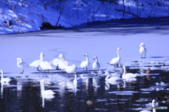 撮って出し(2025-01-11_10-06)-(Canon EOS 60D-2