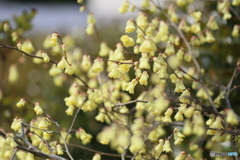 撮って出し(2025-04-07_09-52)-(Canon EOS 6D-90