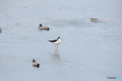 撮って出し(2025-04-27_12-42)-(Canon EOS 60D-2
