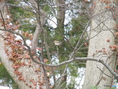 撮って出し-E-M5-150.0-41_02_05-0