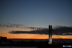 撮って出し(2024-10-14_17-33)-(Canon EOS 6D-90