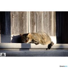 撮って出し(2023-11-22_14-55)-50--X-E1-DSCF006