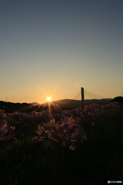撮って出し-Canon EOS 6D-35.0-23_08_22_IMG_543