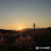 撮って出し-Canon EOS 6D-35.0-23_08_22_IMG_543