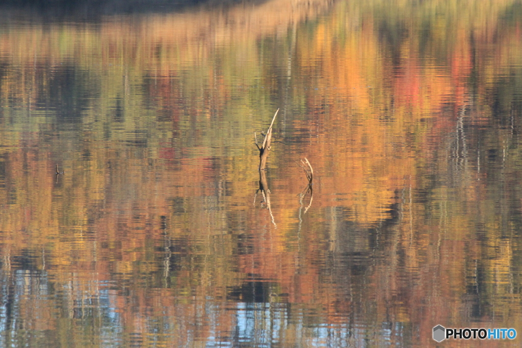 撮って出し-Canon EOS 60D-250.0-22_10_31-1