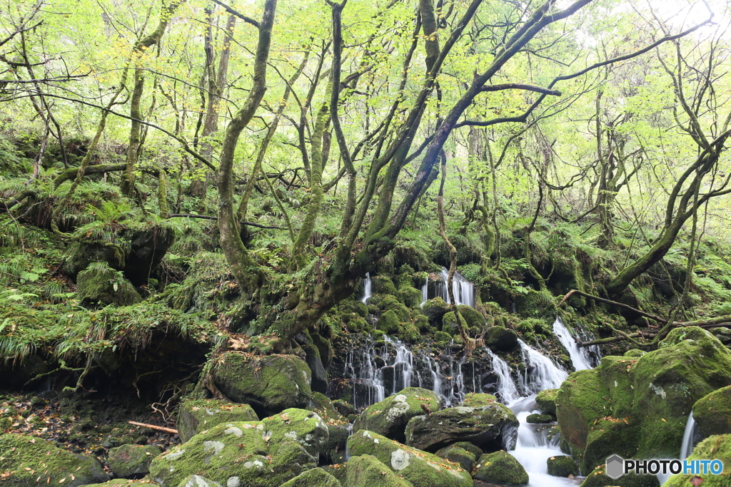 撮って出し(2024-10-28_13-50)-(Canon EOS 6D-24