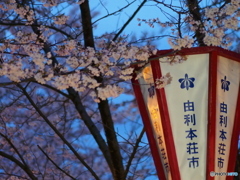 撮って出し(2025-04-18_18-29)-(E-M5-0())_02