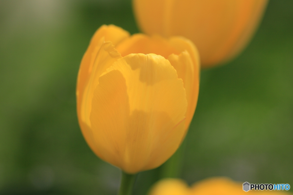 撮って出し(2025-04-25_09-42)-(Canon EOS 60D-9