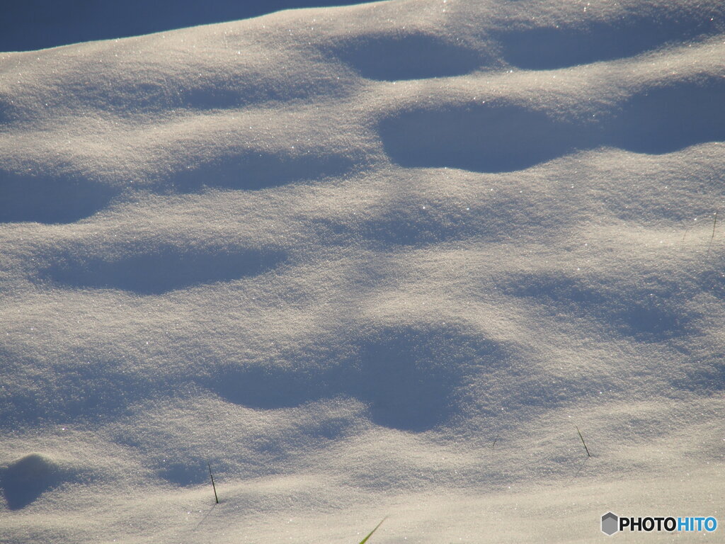 撮って出し-E-M5-150.0-40_12_03-14