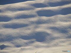 撮って出し-E-M5-150.0-40_12_03-14