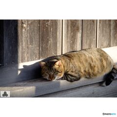 撮って出し(2023-11-22_14-57)-50--X-E1-DSCF007