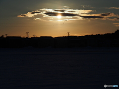 撮って出し(2025-01-19_16-15)-(E-M5-58(OLYMPUS