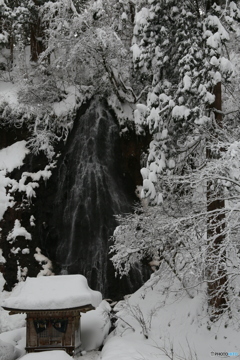 撮って出し-Canon EOS 6D-65.0-40_12_20-0