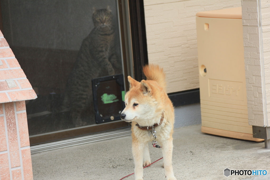 撮って出し(2025-05-09_15-34)-(Canon EOS 60D-1