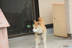 撮って出し(2025-05-09_15-34)-(Canon EOS 60D-1