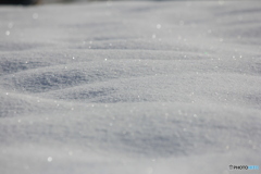 撮って出し(2025-01-13_09-46)-(Canon EOS 60D-2