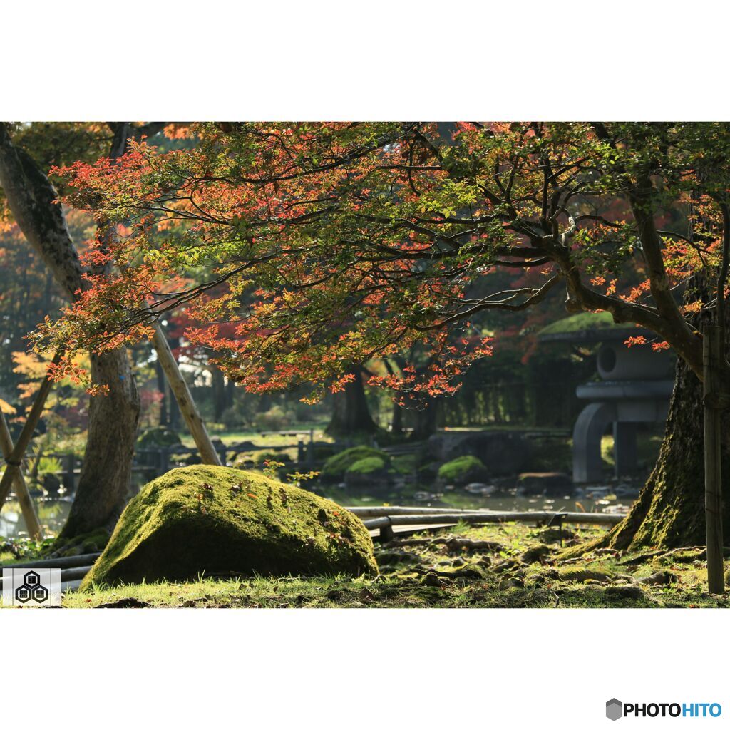 撮って出し(2023-11-03_11-00)-100-EF28-135mm f