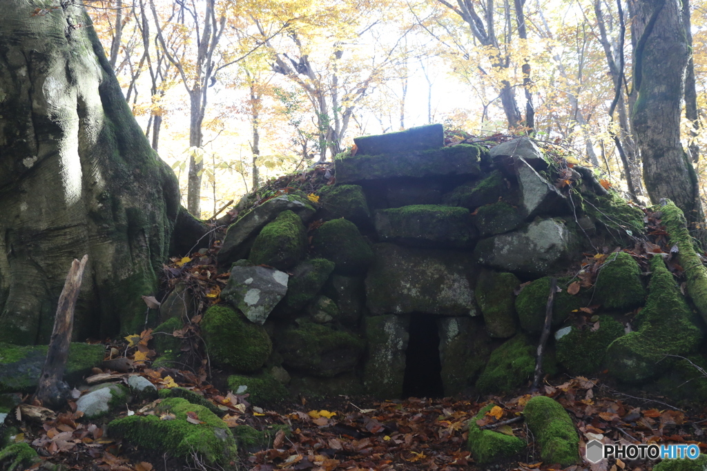 撮って出し(2025-11-04_08-50)-(Canon EOS 6D-30