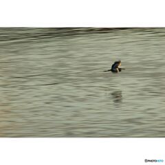 撮って出し(2023-07-06_03-13)--250