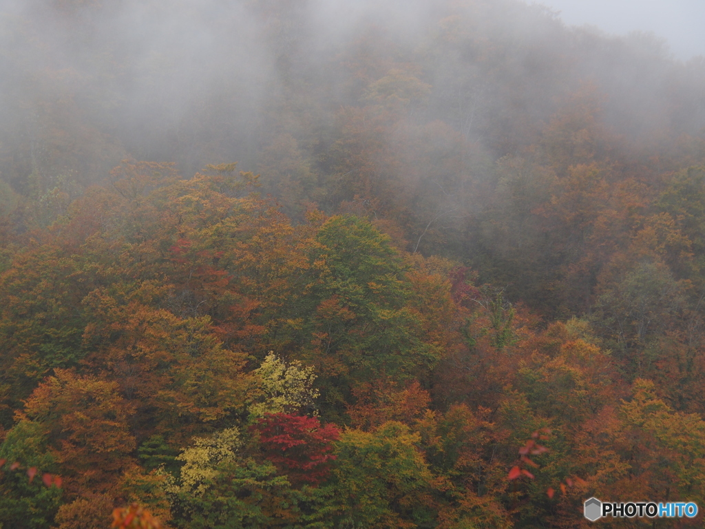 撮って出し(2025-10-26_14-02)-(E-M5-52(OLYMPUS
