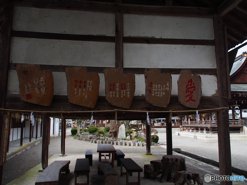 撮って出し(2024-03-06_14-14)-(E-M5-14(OLYMPUS