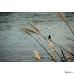 撮って出し(2023-07-06_03-10)--250_1