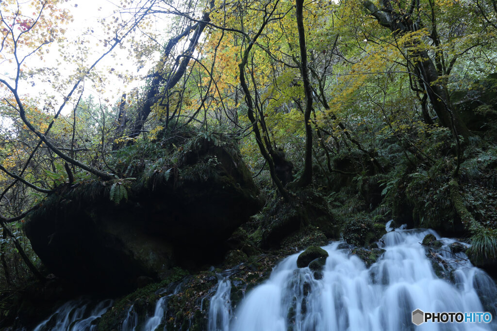 撮って出し(2025-11-04_07-11)-(Canon EOS 6D-28