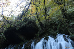 撮って出し(2025-11-04_07-11)-(Canon EOS 6D-28