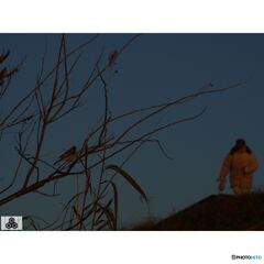 撮って出し(2023-11-11_06-38)-150-OLYMPUS M.14