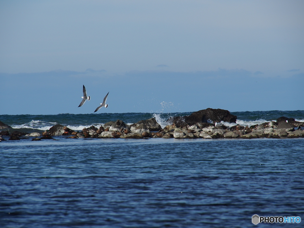 撮って出し(2024-02-06_11-55)-(E-M5-150(OLYMPU